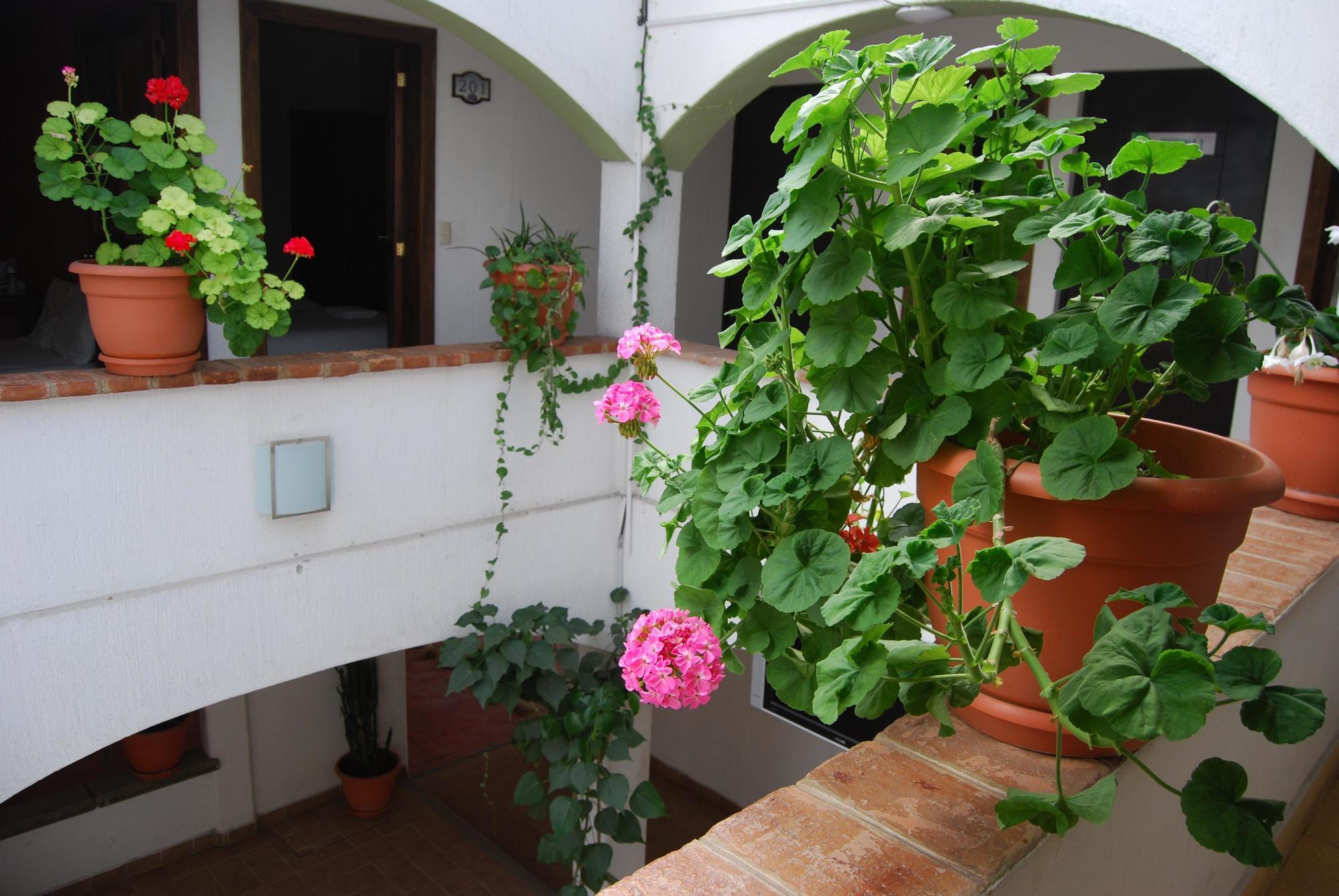 Jardines De Luz Hotel San Cristóbal de Las Casas Eksteriør billede